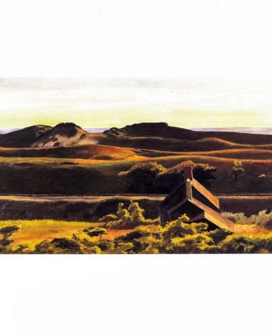 Edward Hopper “Hills, South Truro” Vintage art book page