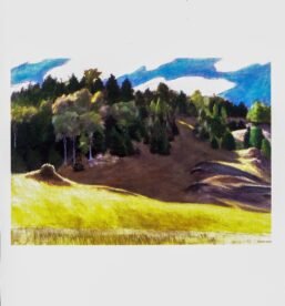 Edward Hopper vintage print "Vermont Hillside" 1936 print
