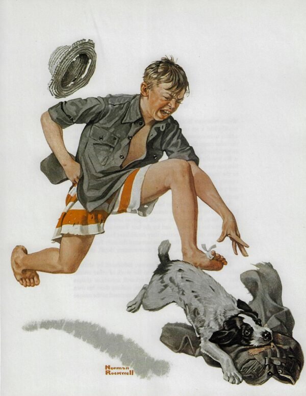 Norman Rockwell Vintage art book page "A Boy's Best Friend" August 1919 - Image 3